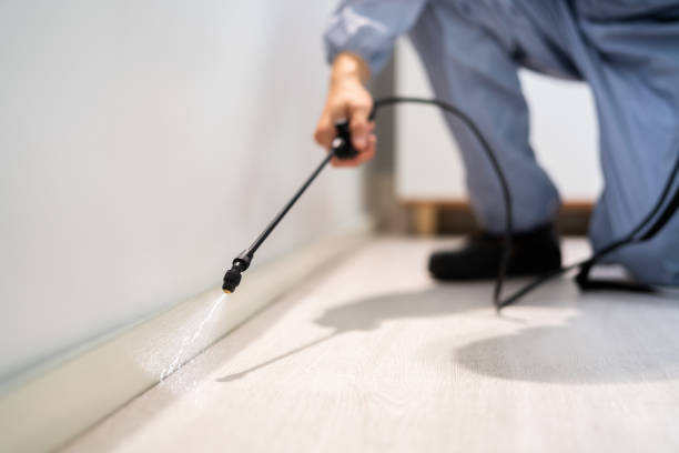 Bed Bug Pre-Treatment Preparation Assessment in Flourtown