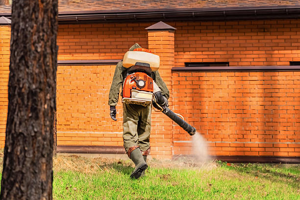 Bed Bug Clearance Verification and Documentation in Flourtown